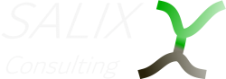SalixX_Logo_Consulting_Hell